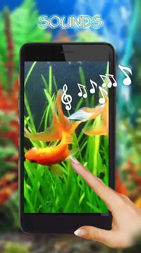Play Aquarium Gold Fishes LWP  and enjoy Aquarium Gold Fishes LWP with UptoPlay
