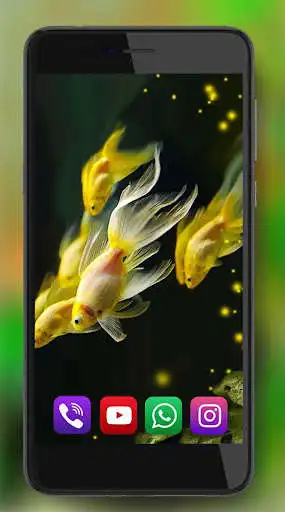 Play Aquarium Gold Fishes LWP as an online game Aquarium Gold Fishes LWP with UptoPlay