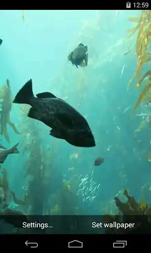 Play aquarium HD Live Wallpaper  and enjoy aquarium HD Live Wallpaper with UptoPlay