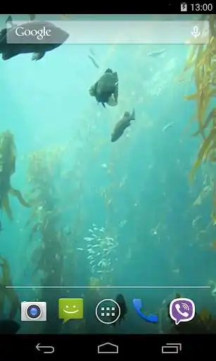 Play aquarium HD Live Wallpaper as an online game aquarium HD Live Wallpaper with UptoPlay