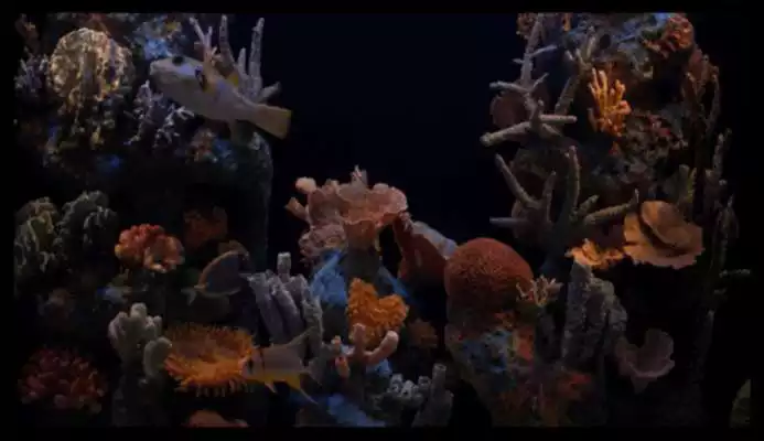 Play Aquarium HD