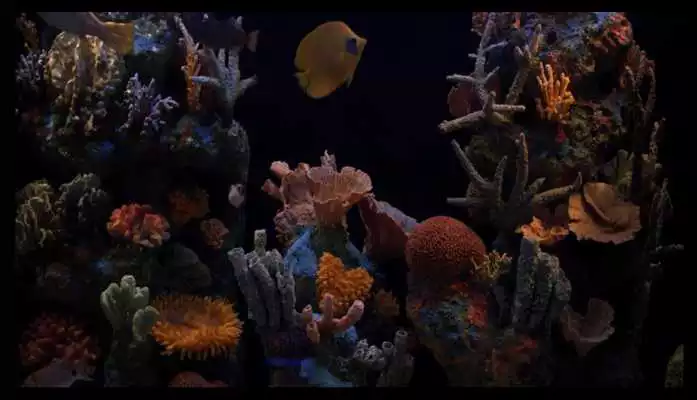 Play Aquarium HD