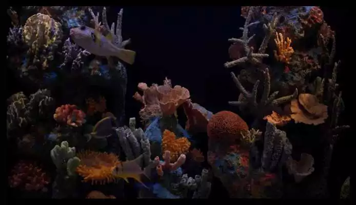 Play Aquarium HD