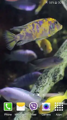 Play Aquarium HD Video Wallpaper