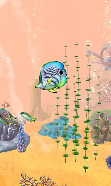 Play Aquarium koi Fish 3D Wallpaper  and enjoy Aquarium koi Fish 3D Wallpaper with UptoPlay