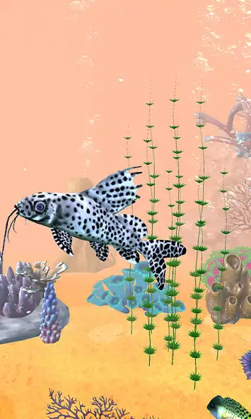 Play Aquarium koi Fish 3D Wallpaper as an online game Aquarium koi Fish 3D Wallpaper with UptoPlay