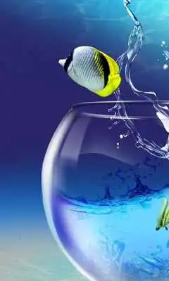 Play Aquarium Live Free Wallpaper