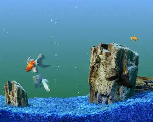 Play Aquarium Live Free Wallpaper