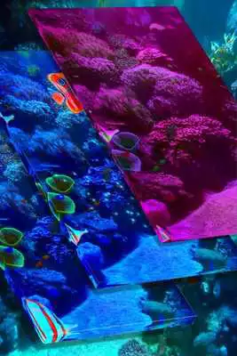 Play Aquarium Live Wallpaper HD