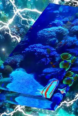 Play Aquarium Live Wallpaper HD
