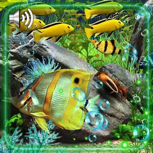 Free play online Aquarium Live Wallpaper APK Free play online Aquarium Live Wallpaper APK