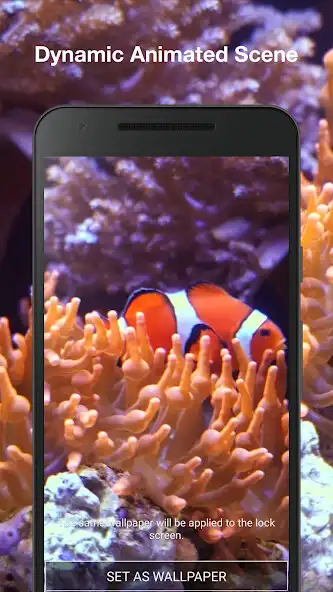 Play Aquarium Live Wallpaper Pro as an online game Aquarium Live Wallpaper Pro with UptoPlay
