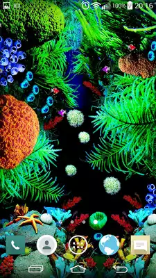 Play Aquarium livewallpapers QHD