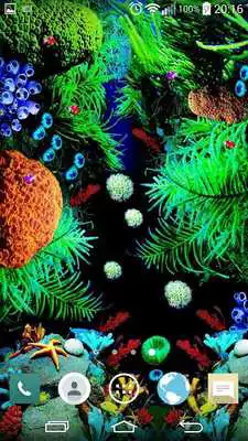 Play Aquarium livewallpapers QHD