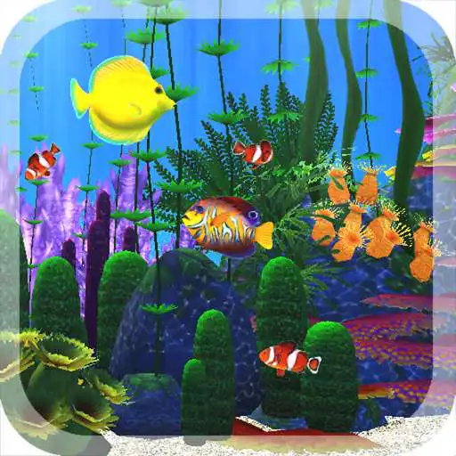 Play Aquarium Sim APK