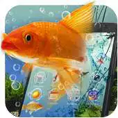 Free play online Aquariums launcher theme wallpaper APK