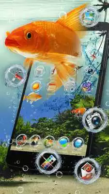 Play Aquariums launcher theme wallpaper