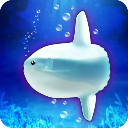 Play Aquarium sunfish simulation APK Play Aquarium sunfish simulation APK