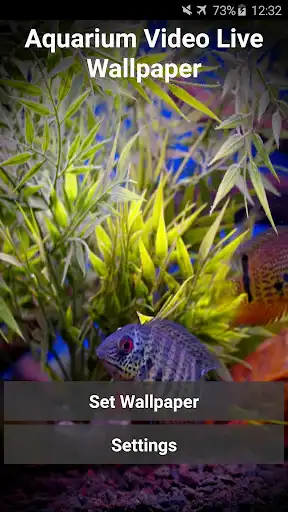 Play Aquarium Video Wallpaper  and enjoy Aquarium Video Wallpaper with UptoPlay