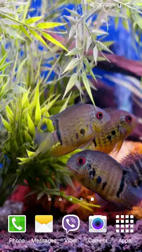 Play Aquarium Video Wallpaper as an online game Aquarium Video Wallpaper with UptoPlay