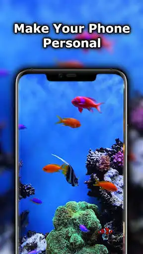 Play Aquarium Wallpaper