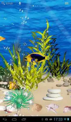Play Aquarium Wallpaper