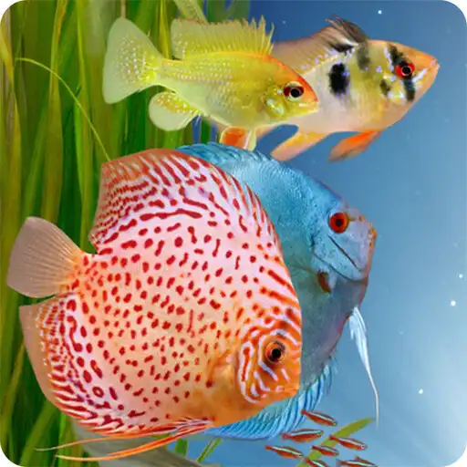 Play AQUARIUM WIEN APP APK Play AQUARIUM WIEN APP APK