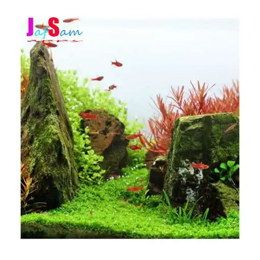 Play Aquascape Design APK