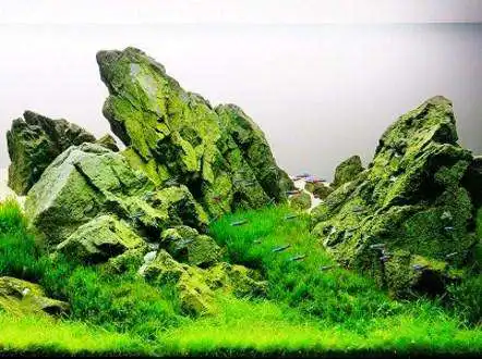 Play Aquascape Design as an online game Aquascape Design with UptoPlay