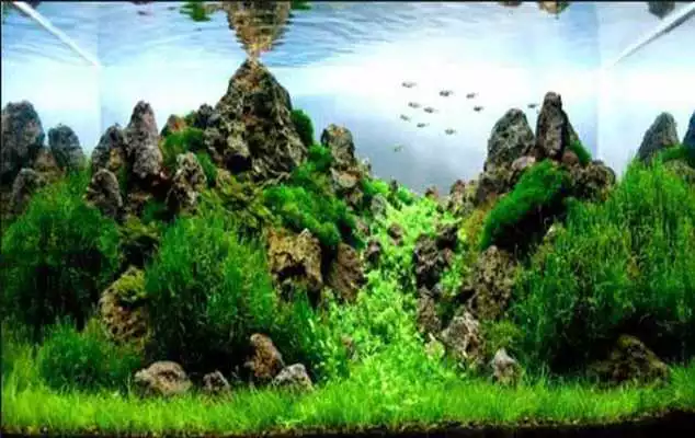 Play Aquascape Design Update