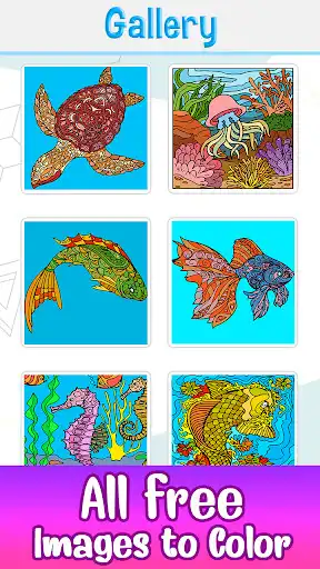 Play Aquatic Animals Color by Number: Sea Coloring Book
