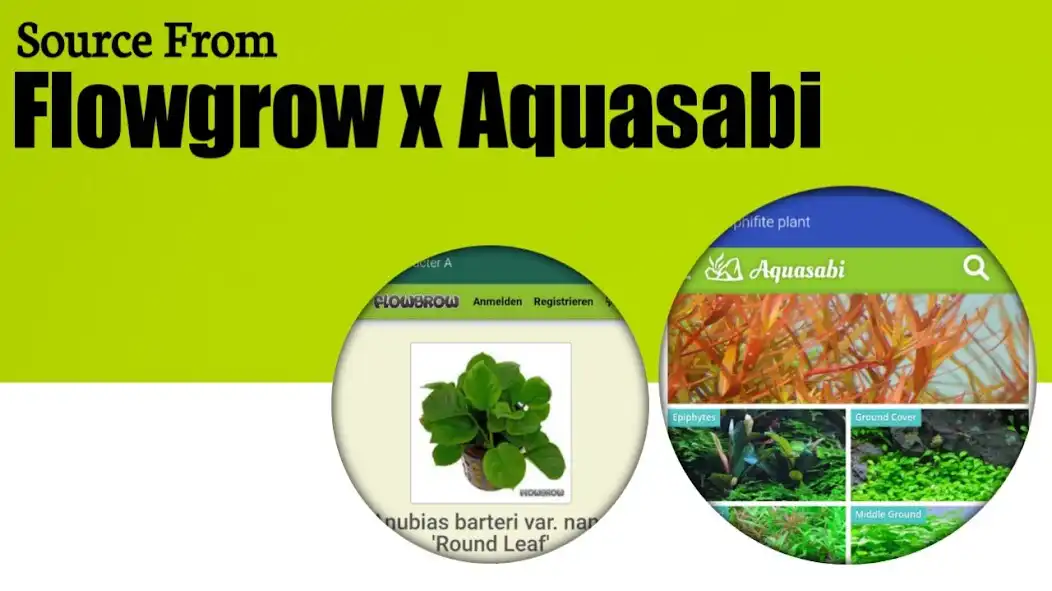 Play Aquatic Plant Identifier as an online game Aquatic Plant Identifier with UptoPlay