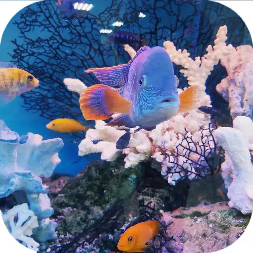 Play Aquatic Wallpaper 2022 APK Play Aquatic Wallpaper 2022 APK