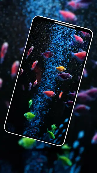 Play Aquatic Wallpaper 2022  and enjoy Aquatic Wallpaper 2022 with UptoPlay