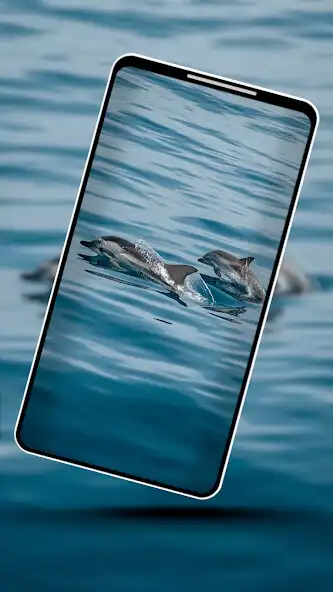 Play Aquatic Wallpaper 2022 as an online game Aquatic Wallpaper 2022 with UptoPlay