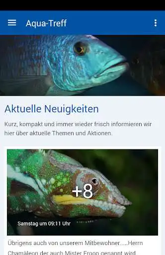 Play Aqua-Treff  and enjoy Aqua-Treff with UptoPlay