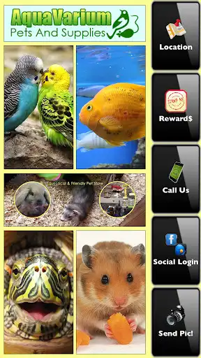 Play AquaVarium Pets And Supplies  and enjoy AquaVarium Pets And Supplies with UptoPlay