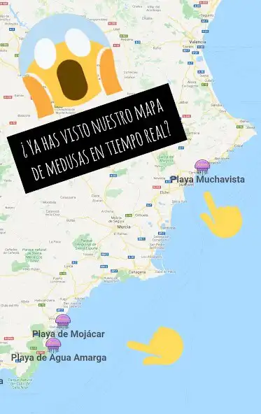 Play Aquihayplaya.com ¿Hay medusas?  and enjoy Aquihayplaya.com ¿Hay medusas? with UptoPlay