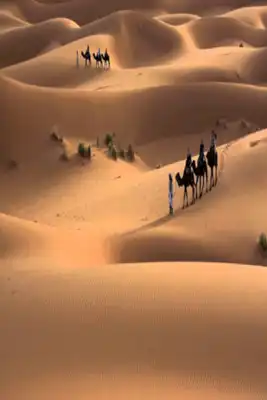 Play Arabic Audio for Wehbe Songs Play Arabic Audio for Wehbe Songs