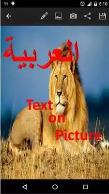 Play arabic text on picture