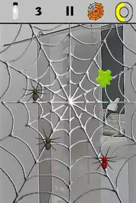 Play Arachni Crusher Free