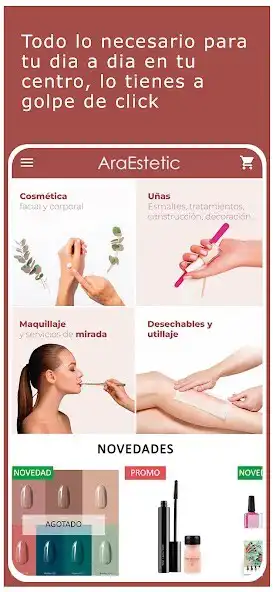 Play AraEstetic as an online game AraEstetic with UptoPlay