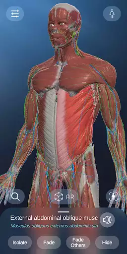 Play AR Anatomy  and enjoy AR Anatomy with UptoPlay