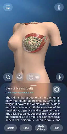 Play AR Anatomy as an online game AR Anatomy with UptoPlay