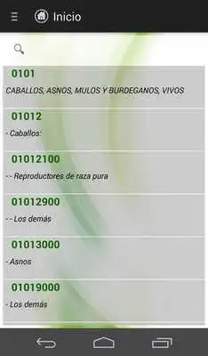 Play Arancel GT Play Arancel GT