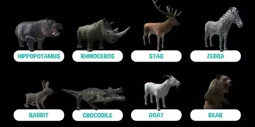 Play AR Animals  and enjoy AR Animals with UptoPlay