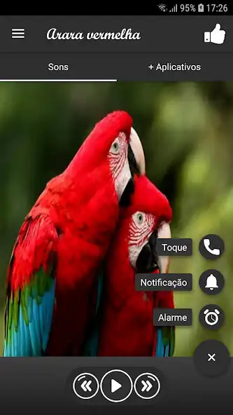 Play Arara vermelha as an online game Arara vermelha with UptoPlay