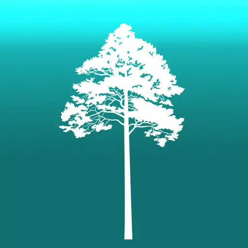 Play Arboreal - Height of Tree APK
