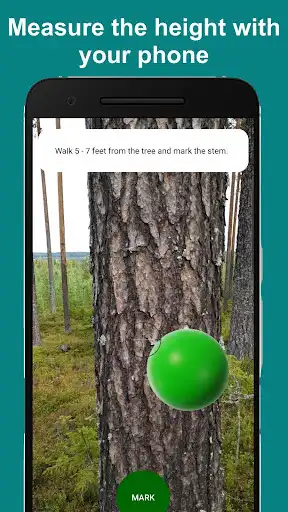 Play Arboreal - Height of Tree  and enjoy Arboreal - Height of Tree with UptoPlay