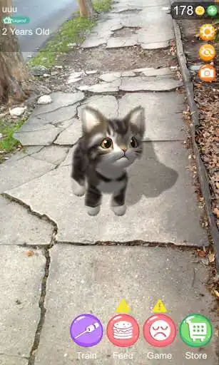 Play AR Cat  and enjoy AR Cat with UptoPlay